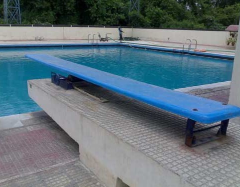 Diving Board